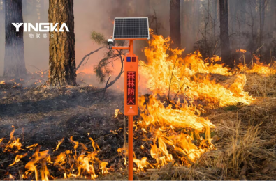 智能语音宣传杆在森林防火人员管控中的积极作用