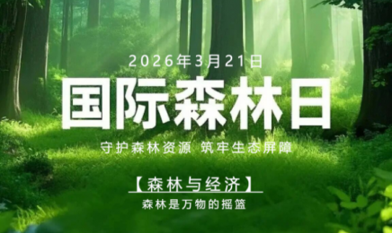 321国际森林日｜守护森林资源、筑牢生态屏障